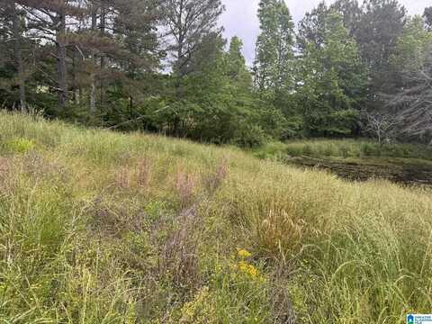 0 BUSBY CUT OFF ROAD, NAUVOO, AL 35578