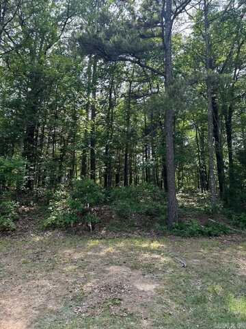 Lot 61 Cedar Valley Road, Fairfield Bay, AR 72088