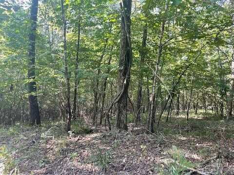 0 Sunfish Lane, Alexander, AR 72002