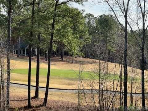 25 Elcano Drive, Hot Springs Village, AR 71909
