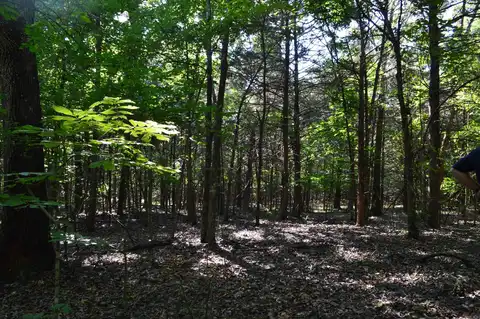undefined, Lead Hill, AR 72687