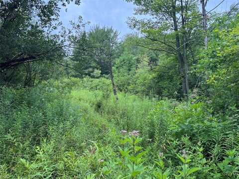 10750 Chapple Stoughton Road, Napoli, NY 14772