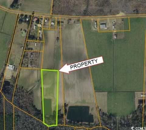 TBD Vick Rd., Galivants Ferry, SC 29544