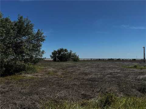 4424 Skyhawk Street, Robstown, TX 78380