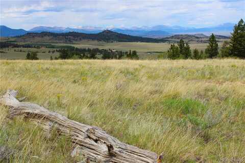 198 Baler Court, Hartsel, CO 80449