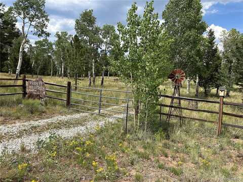 2130 Pitchfork Road, Hartsel, CO 80449