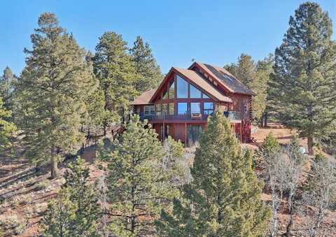 102 Douglas Fir Lane, Woodland Park, CO 80863