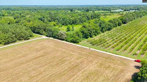 0 Joes Trail, Monetta, SC 29105