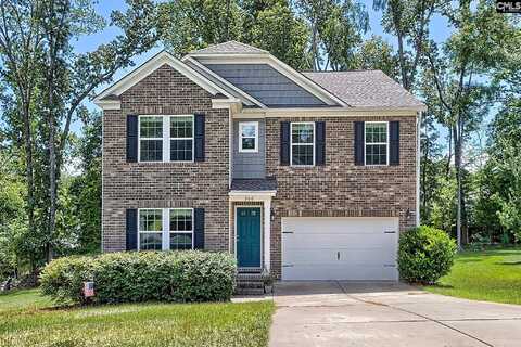 306 Dolly Horn Lane, Chapin, SC 29036