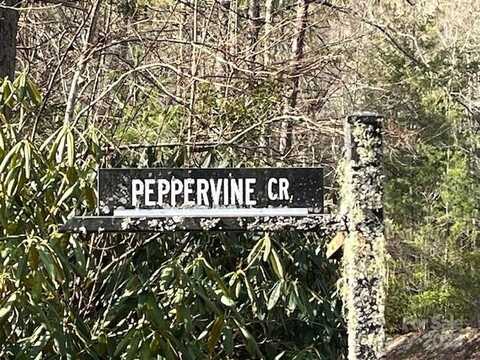 Peppervine Circle unit: 97, Rosman, NC 28772