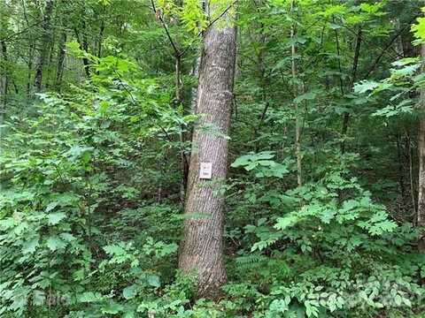 Peppervine Circle unit: 98, Rosman, NC 28772