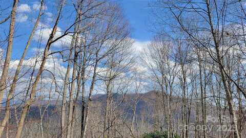 Joslin Lane, Burnsville, NC 28714