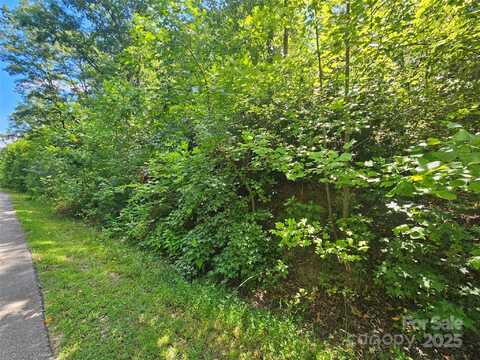 Walkaloosa Way lot: 40, Mooresboro, NC 28114