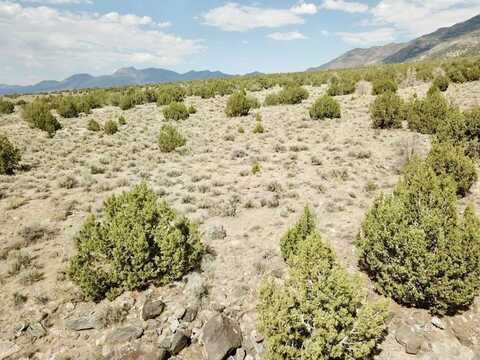 10 Acres, Montello, NV 89830
