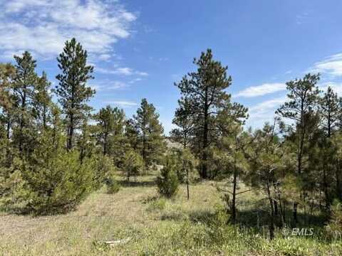 Ridge Dr, Miles City, MT 59301