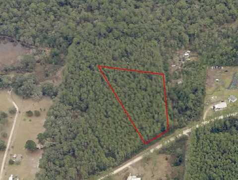 TBD NE NE 130TH COURT RD, FORT MC COY, FL 32134