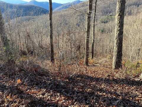Lot 61 Hickory Nut Trail, Sylva, NC 28779