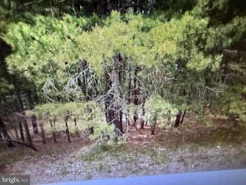 124 SYCAMORE AVENUE, MARLTON, NJ 08053
