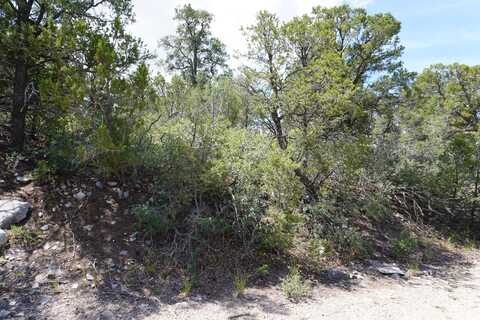 263 FIVE HILLS Drive, Tijeras, NM 87059