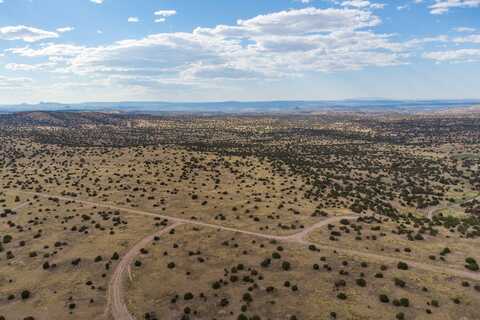 58 Pinon Springs Road, Alamo, NM 87825