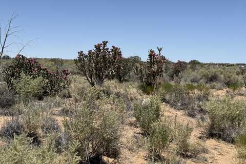 23rd (Lots72,73 Blk80 Unit 5) Street, Rio Rancho, NM 87124