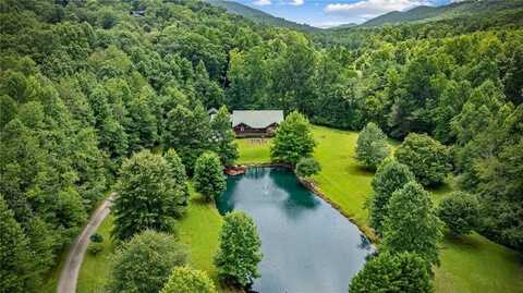 110 Deer Crest Heights, Blue Ridge, GA 30513