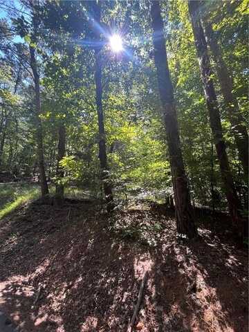 0 Apple Road, Ranger, GA 30734
