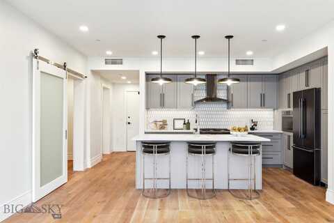 315 N Tracy Avenue unit: 203, Bozeman, MT 59715
