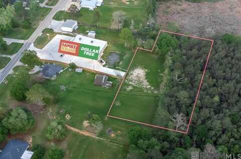 Tract 2-a La Hwy 42, Livingston, LA 70754