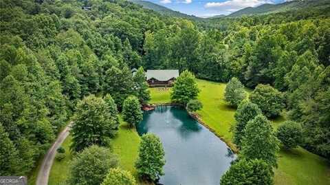 110 Deer Crest, Blue Ridge, GA 30513