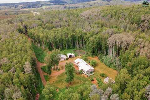 422 TRICKEY AVENUE, Fairbanks, AK 99712