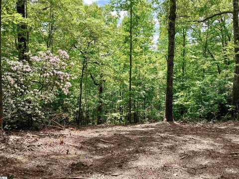 5 Water View Court, Travelers Rest, SC 29690