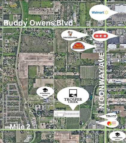 Tbd Mountain Drive, Mission, TX 78573