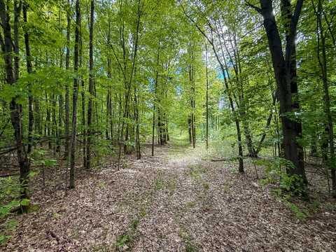 V/L S Deer Lake Road, Reed City, MI 49677