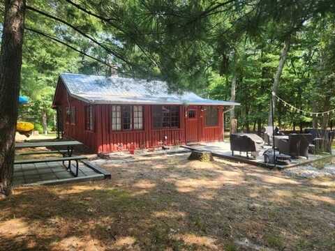 7306 W Erik Lane, Baldwin, MI 49304