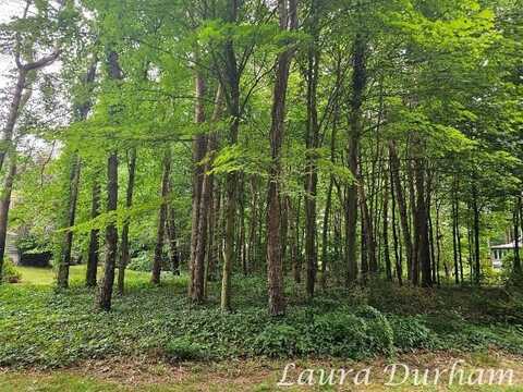 3365 Clearview Lane, Saugatuck, MI 49453
