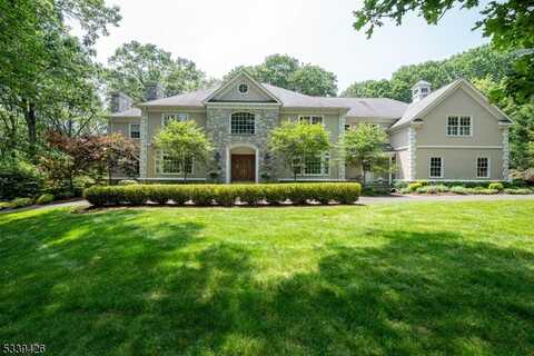7 Timber Ridge Rd, Mendham, NJ 07931
