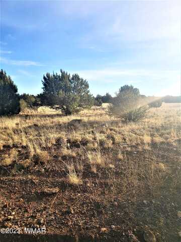 Supancheck, SHOW LOW, AZ 85901