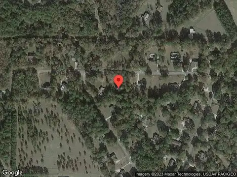 Pheasant, AMERICUS, GA 31719