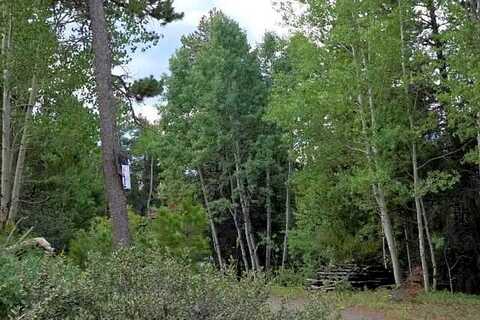 Wedgwood, BLACK HAWK, CO 80422