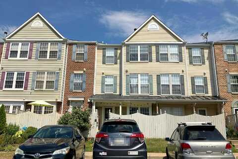 Boysenberry, FREDERICK, MD 21703