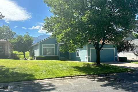 Limberpine, PARACHUTE, CO 81635