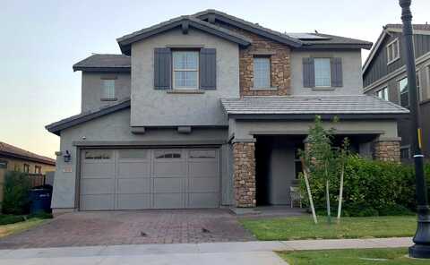 Appaloosa, GILBERT, AZ 85296