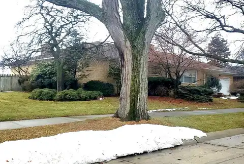 Dijon, EASTPOINTE, MI 48021