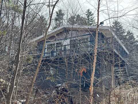 Deer Hill, WHITINGHAM, VT 05361