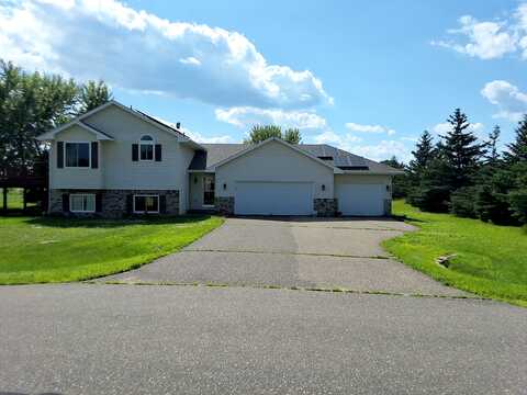 Golden, NORTH BRANCH, MN 55056