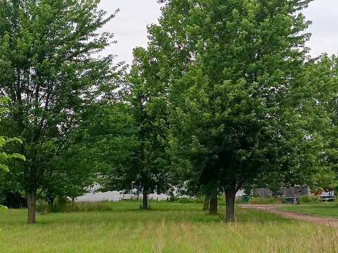 Juddville, CORUNNA, MI 48817