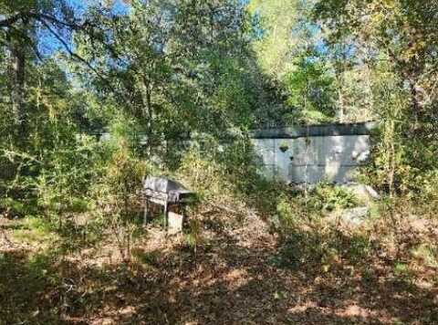 Oak, CITRONELLE, AL 36522