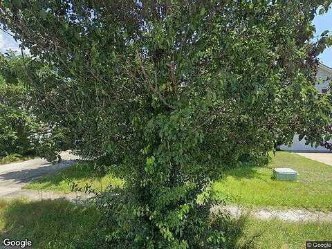 Coralbean, COLUMBIA, SC 29229