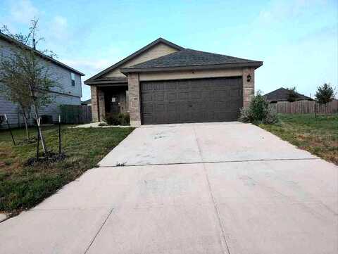 Clove Spice, VON ORMY, TX 78073